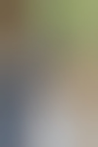 dtje